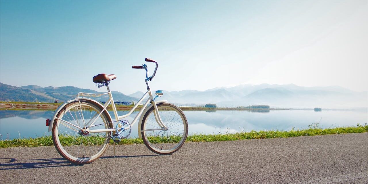 Hvilken cykel skal du vælge næste gang?